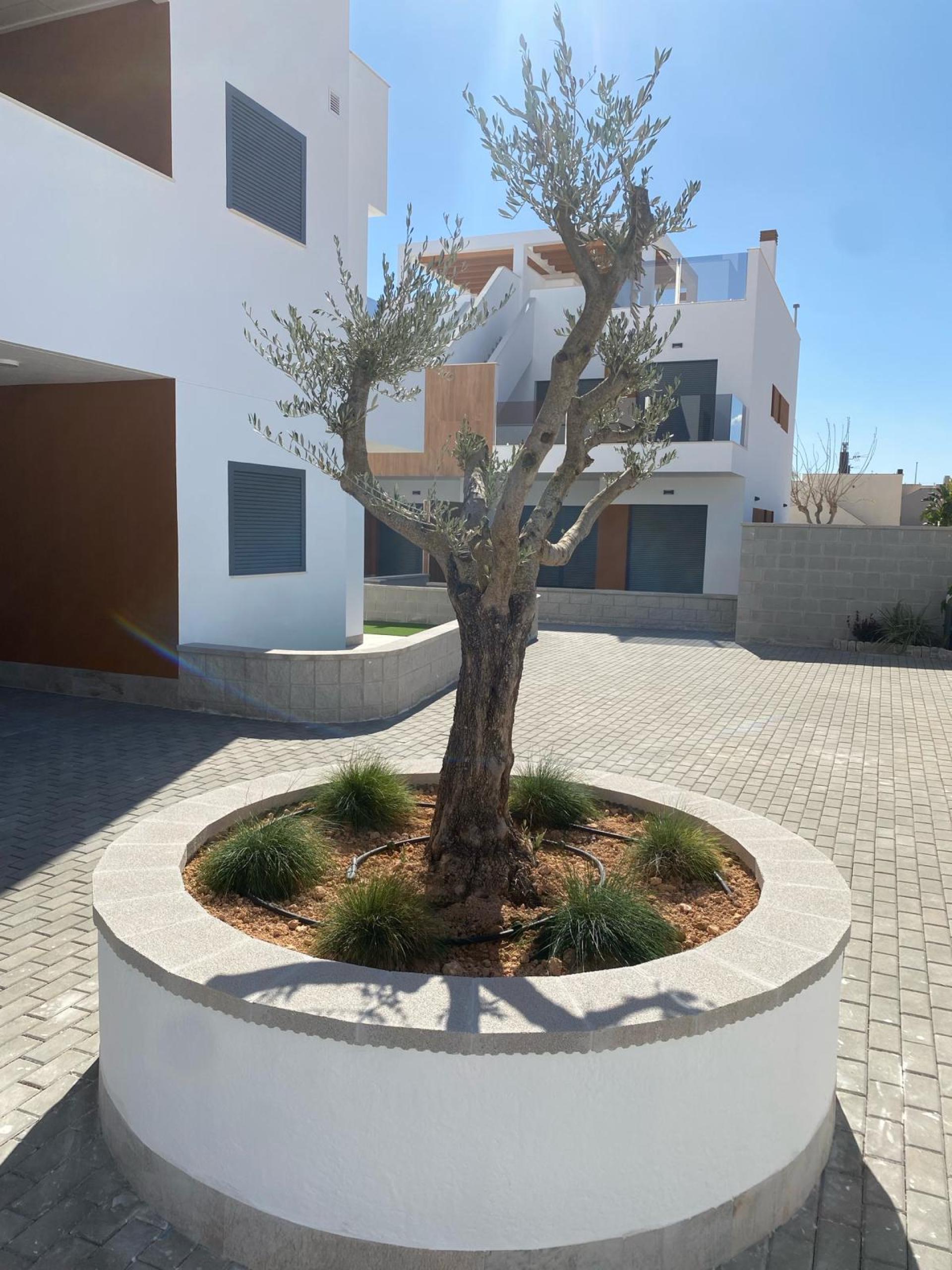 2 Schlafzimmer Wohnung mit Dachterrasse In Pilar de la Horadada - Neubau in Medvilla Spanje