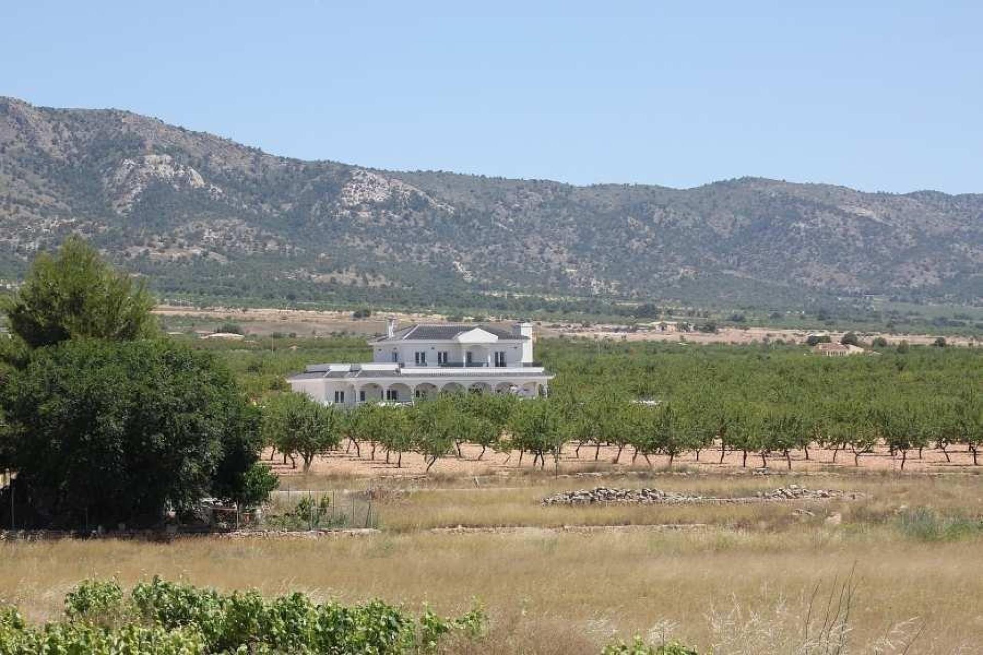 Luxuriöse Neubauvillen mit Pool inkl. Grundstücke, Lizenzen Alicante, Pinoso in Medvilla Spanje