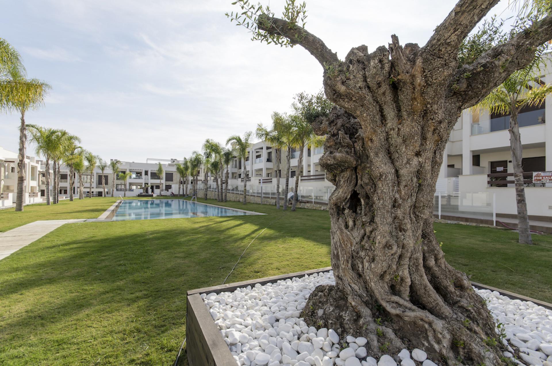 3 Schlafzimmer Wohnung mit Dachterrasse In Torrevieja - Neubau in Medvilla Spanje